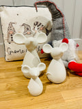 Mouse Family